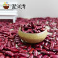 Высокое качество новый урожай 2012 хорошо выбрано красная фасоль на горячей продажи